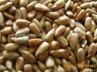 Dry roasted & salted sunflower seeds