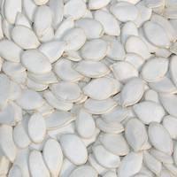 pumpkin seeds