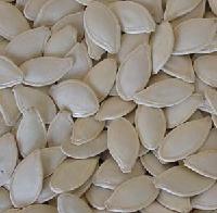 yellow pumpkin seeds