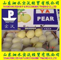 Ya Pear-4kg, 4.5kg, 5kg/carton