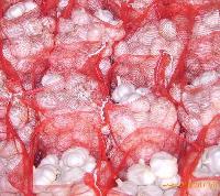  Pure  White  Garlic  Packed in  red  mesh bag