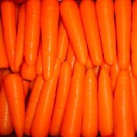 Chinese Fresh Carrot