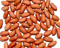 roasted peanuts with red skin