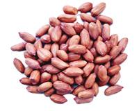 groundnut kernels