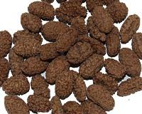 cocoa  flavour ed  coated   peanut s