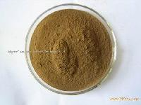 Green Tea Extract