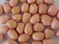 beaded peanut kernel