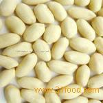 blanched peanut kernel