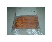 Frozen on board Deeps Sea LObster