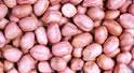 New Crop Peanut