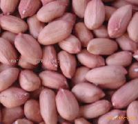Chinese Raw peanut Kernels