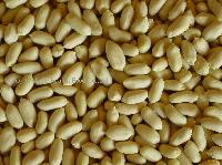 Blanched Peanut Kernels