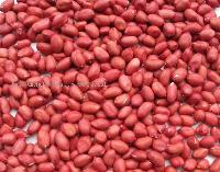 Red Skin Peanut (Sili Hong)