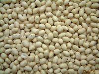 Blanched Peanut (Hsuji/ Round shape)