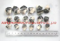 Frozen boiled mud  snail   meat 