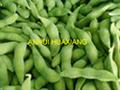 Frozen cooked soybean