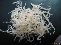 Dried Squid Shredded