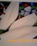  halibut 