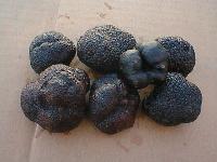 Black truffles(frozen)