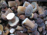 Boletus (Whole)