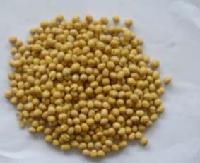 roasted soy bean