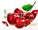 SOUR CHERRY