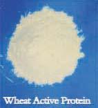 Wheat vital protein