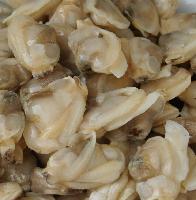 frozen cooked and mottle clam meat