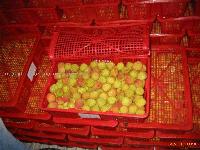  Fresh   LITCHI 