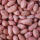 New crop peanut