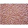 Peanut kernel