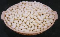Blanched Peanuts