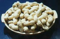 Peanuts Inshell