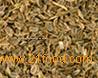 Dill Seeds