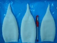 Todarodes Squid Tube