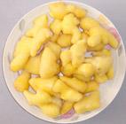 FROZEN GINGER