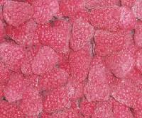 IQF Raspberry