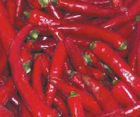  IQF   Red   chilli 