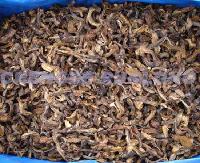 DRIED SUILLUS GRANULATUS