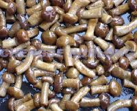 NAMEKO IN BRINE