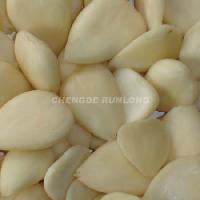 UNBITTER PEELED APRICOT KERNELS