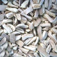 IQF PLEUROTUS OSTREATUS