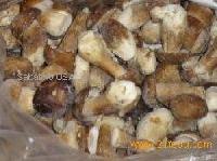 FROZEN PORCINI MUSHROOM