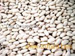 Cannellini Beans (White Kidney) - 50#