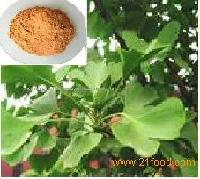 Sell  Ginkgo   Biloba   extract 