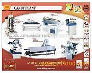 Candy Plant Regular