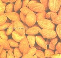 APRICOT KERNELS