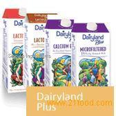 dairy products