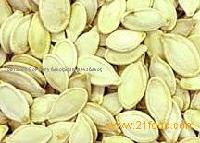  cedar   nuts  in shell