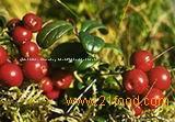  fresh   cranberries 